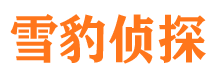 红桥市私人侦探